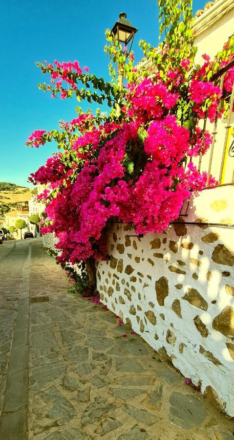 Preciosa Casa De Pueblo Entre Ronda Y Setenil La Posada De Catalina Montecorto Buitenkant foto
