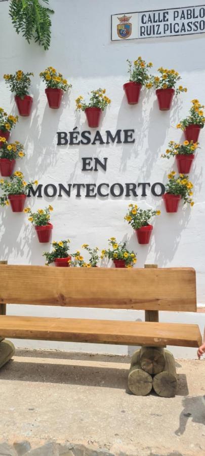 Preciosa Casa De Pueblo Entre Ronda Y Setenil La Posada De Catalina Montecorto Buitenkant foto